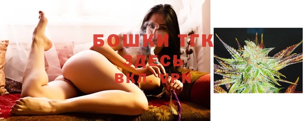apvp Верея