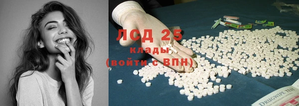 apvp Верея