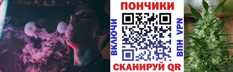 Конопля ГИДРОПОН  Купить где  Белая Холуница 